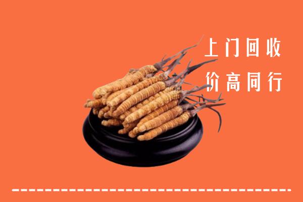 高价求购：临城县回收散虫草