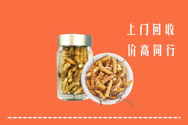 临城县回收冬虫夏草