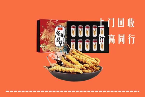 临城县回收虫草